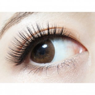 FLANMY Orange Brownie 10片裝